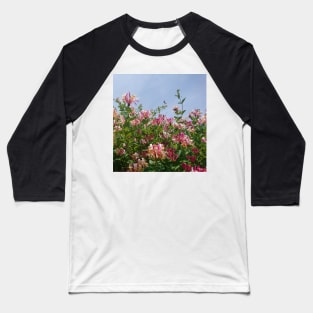 Sunny honeysuckle Baseball T-Shirt